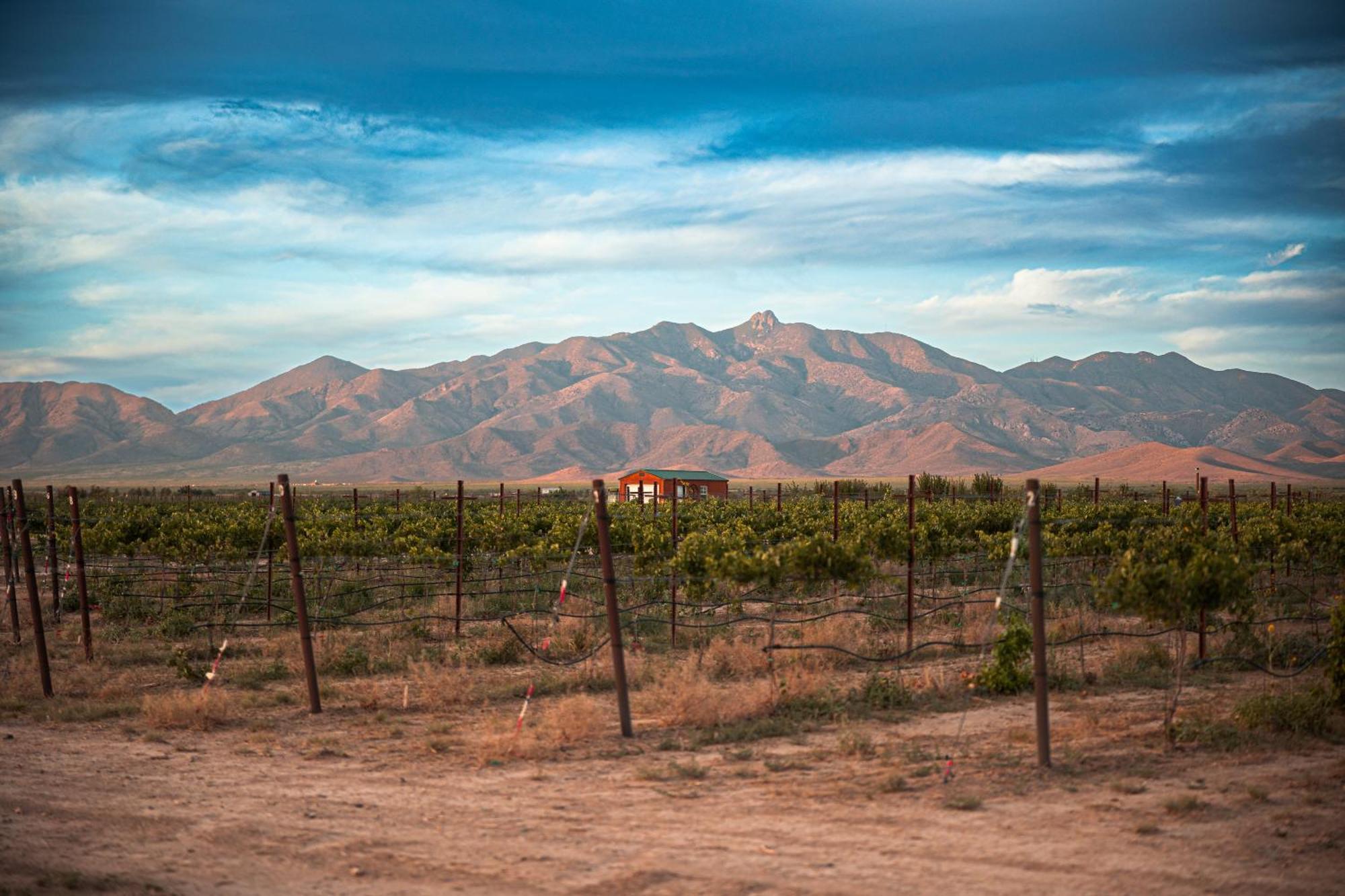윌콕스 Casa Barbera At Tirrito Farm 빌라 외부 사진
